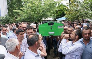 Trafik kazasında hayatını kaybeden iki kardeşe...