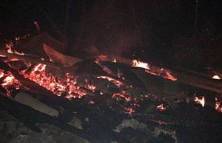 Yusufeli'nde çıkan yangında bir kişi öldü