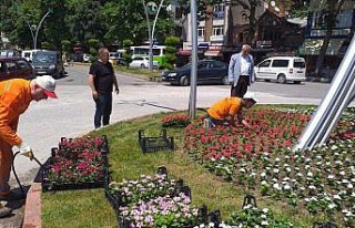 Alaplı Belediyesinden çiçeklendirme çalışmaları