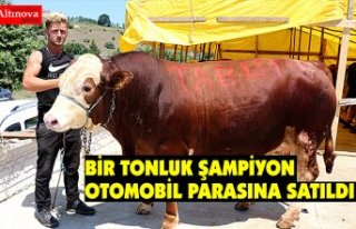 Bir tonluk "Şampiyon" otomobil parasına...