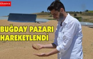 BUĞDAY PAZARI HAREKETLENDİ