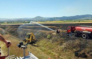 Buğday tarlasında yangın