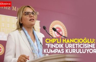 CHP'li Hancıoğlu: "Fındık üreticisine...