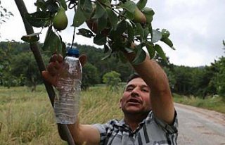 Çöpleri ağaç dallarına asarak çevre kirliliğine...
