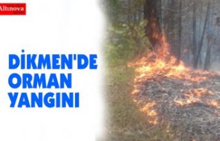 DİKMEN'DE ORMAN YANGINI