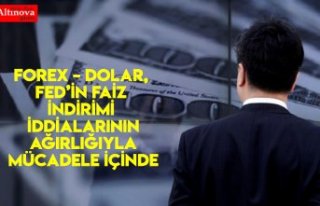 Forex – Dolar, Fed’in Faiz İndirimi İddialarının...