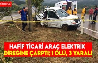 Hafif ticari araç elektrik direğine çarptı: 1...