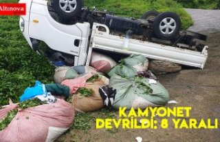 Kamyonet devrildi: 8 yaralı