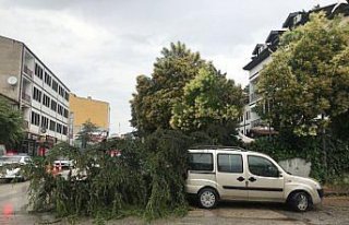 Karabük'te fırtına ve sağanak etkili oldu