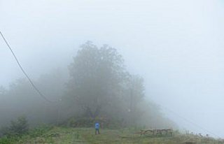 Karınca Kalesi turizme kazandırılacak