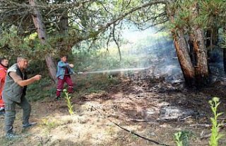 Mudurnu'da örtü yangını