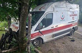 Ordu'da hasta taşıyan ambulans ağaca çarptı:...
