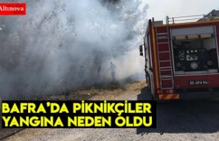 Piknikçilerin neden olduğu yangın söndürüldü