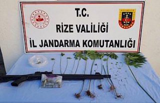 Rize'de asayiş olayları