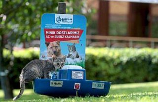 Sokak hayvanları için su ve mama hizmeti