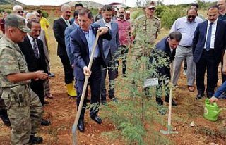 Tokat'ta 15 Temmuz şehitleri anısına hatıra ormanı