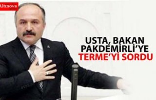 USTA, BAKAN PAKDEMİRLİ’YE TERME’Yİ SORDU