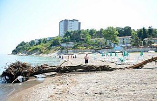 Akçakoca'da selde denize sürüklenen ağaç parçaları...