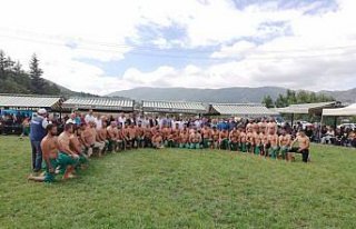 Almus'ta karakucak güreşleri yapıldı