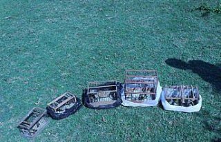 Bartın'da saka kuşu avlayan kişiye 26 bin lira...