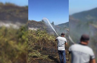 Çatalzeytin'de anız yangını