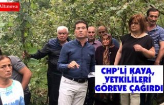CHP’Lİ KAYA, YETKİLİLERİ GÖREVE ÇAĞIRDI