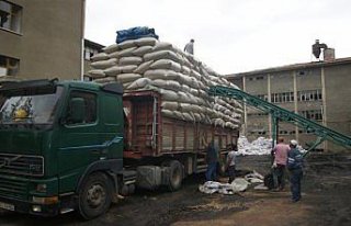 Gümüşhacıköy'de haşhaş kapsülü alımları...