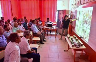 Kahramanmaraşlı fındık üreticilerine eğitim