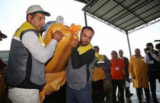 TMO fındık alımlarında yedinci kez devrede