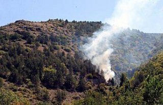 Tokat'ta çıkan orman yangını büyümeden söndürüldü