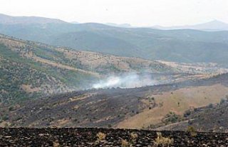 Tokat'taki tarla yangını söndürüldü