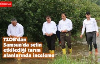TZOB'dan Samsun'da selin etkilediği tarım...