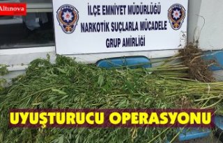 Uyuşturucu operasyonu