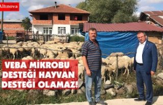 VEBA MİKROBU DESTEĞİ HAYVAN DESTEĞİ OLAMAZ!