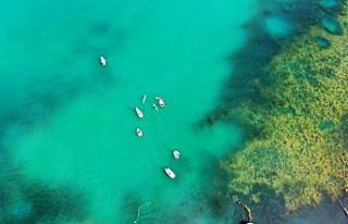 Yelken ve kanolar Karadeniz'in mavisine yakıştı