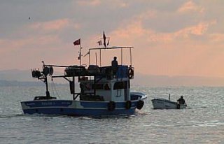 Balıkçıların yüzü tekirle güldü