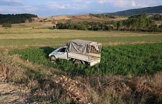GÜNCELLEME - Düğün dönüşü trafik kazası