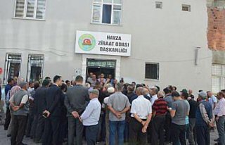 Havza'da ayçiçeği alım fiyatına tepki