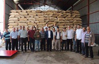 Milletvekili Tunç, fındık alım merkezini ziyaret...