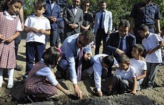 Minik eller safranı toprakla buluşturdu