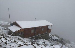 Rize'de Huser Yaylası'na mevsimin ilk karı yağdı