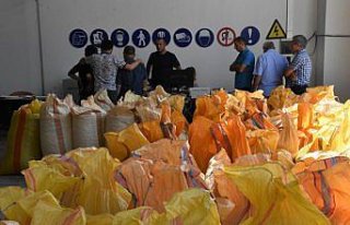 TMO, fındık alım ödemelerine başladı