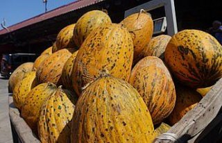 Yaş meyve sebze ihracatında lider Rusya