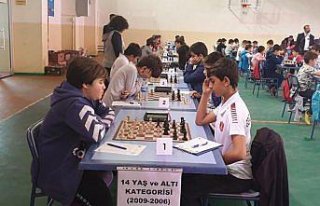 Amasya'da satranç turnuvası