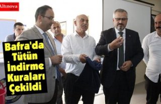 Bafra'da Tütün İndirme Kuraları Çekildi 