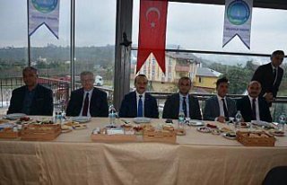 Fatsa'da hamsi festivali düzenlenecek