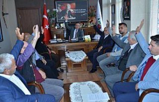 Hanönü Belediye Meclisi'nden Barış Pınarı Harekatı'na...
