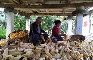 Karadenizli kadınlar kışa hazır