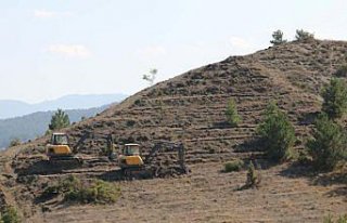Mudurnu'da 5 bin fidan toprakla buluşacak