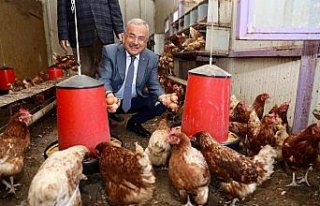 Ordu, gastronomi turizminde de iddialı